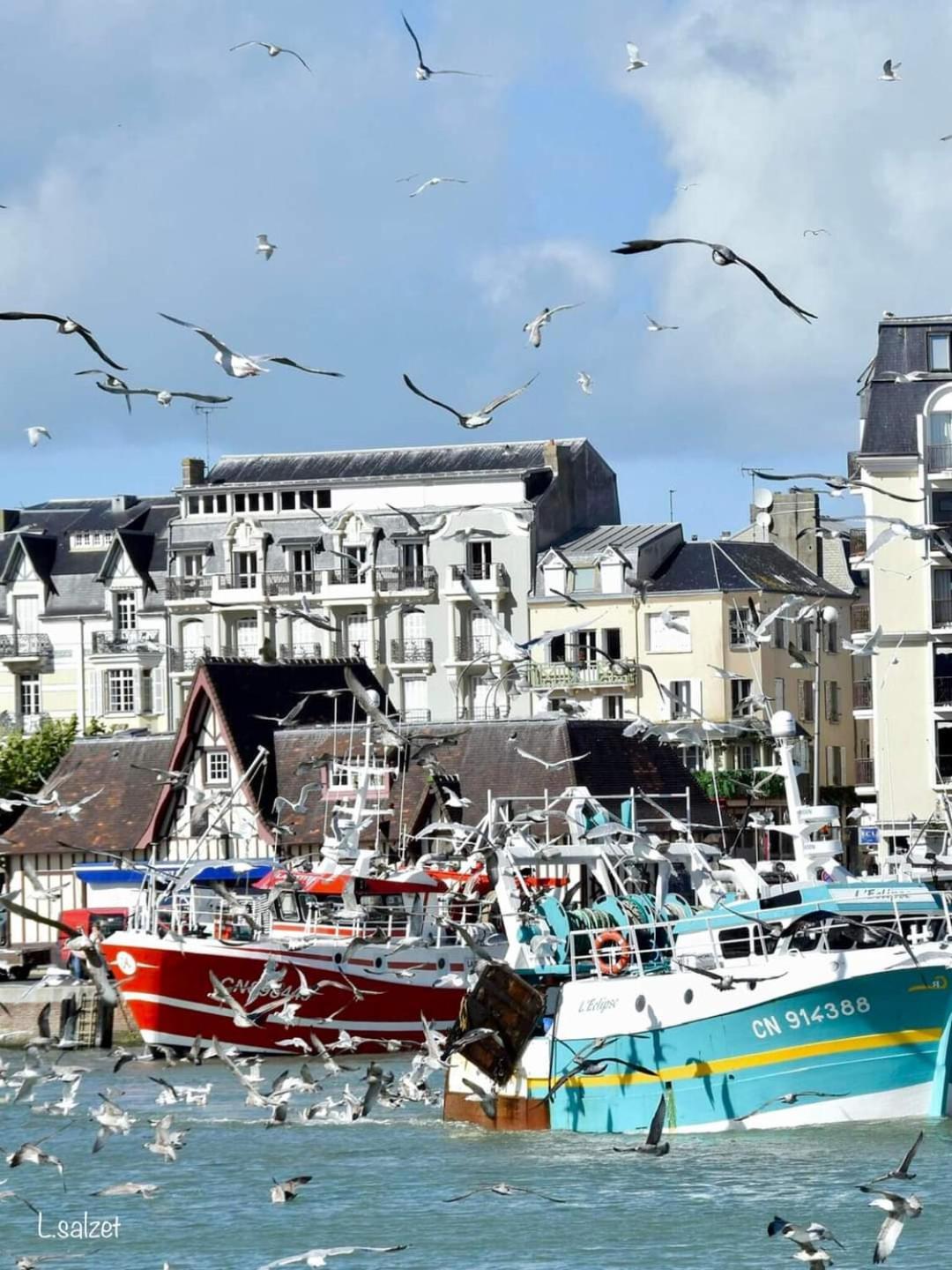 Studio De Charme A Trouville Sur Mer. ภายนอก รูปภาพ